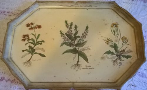 Florentine octagonal botanica tray