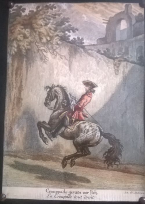 Johann Elias Ridinger hand coloured print