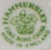 Hammersley mark