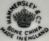 Hammersley mark