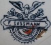 Sussmann mark