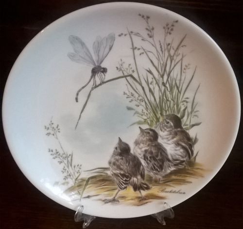 Vintage Johann Seltmann Vohenstrauss decorative wall plate